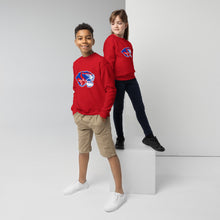 Load image into Gallery viewer, Tigers Youth crewneck sweatshirt